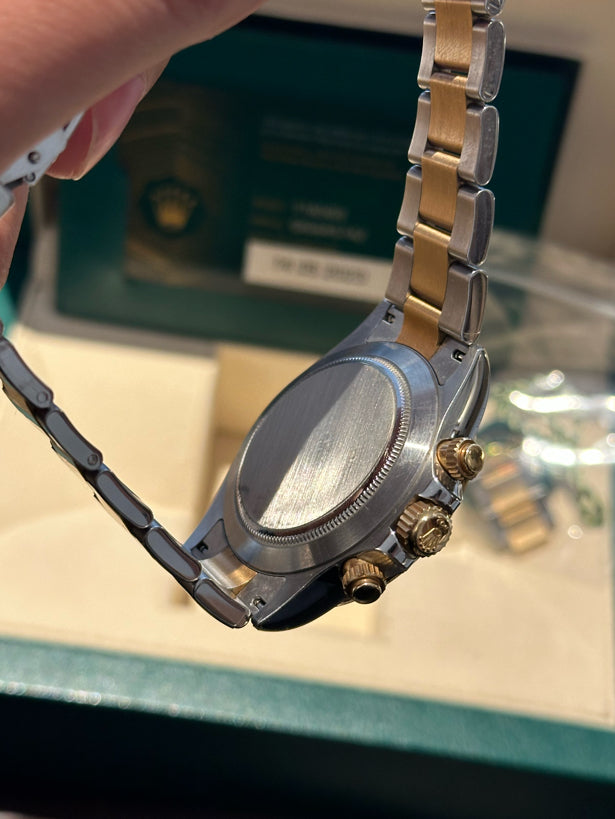 Rolex116503